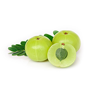  Orasore-Salt-and-Neem-Toothpaste