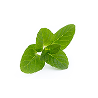  Orasore-Salt-and-Neem-Toothpaste