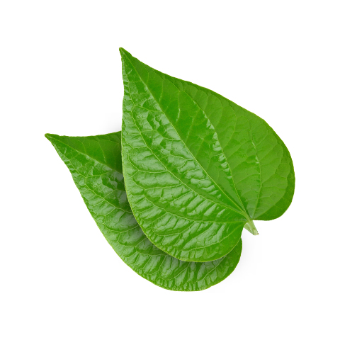 Orasore-PaanZing-Mouth-Freshener-Spray