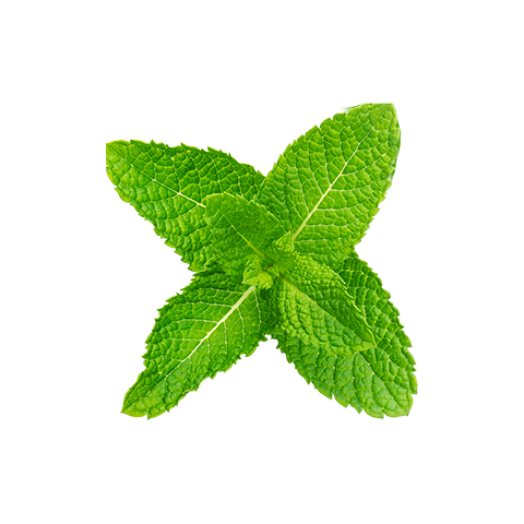 Orasore-PaanZing-Mouth-Freshener-Spray